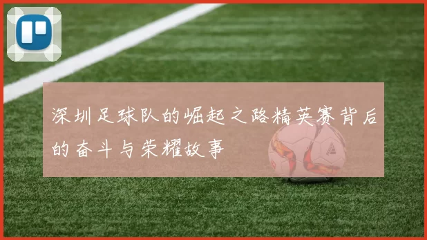 深圳足球队的崛起之路精英赛背后的奋斗与荣耀故事