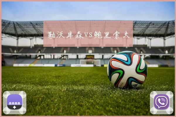 勒沃库森vs鲍里索夫