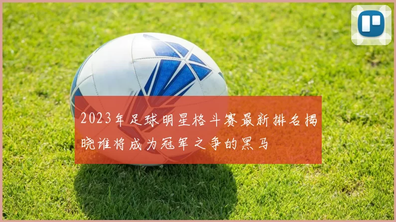 2023年足球明星格斗赛最新排名揭晓谁将成为冠军之争的黑马