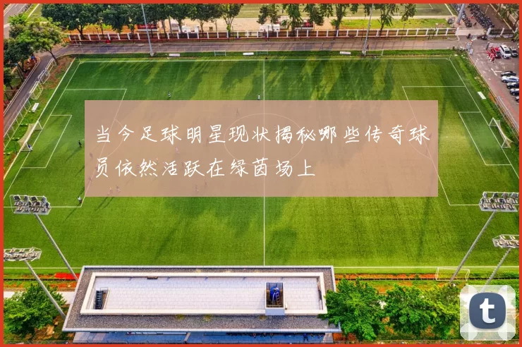 当今足球明星现状揭秘哪些传奇球员依然活跃在绿茵场上