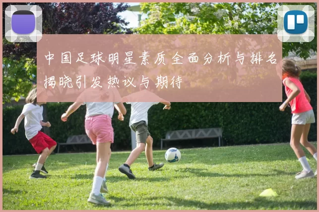 中国足球明星素质全面分析与排名揭晓引发热议与期待