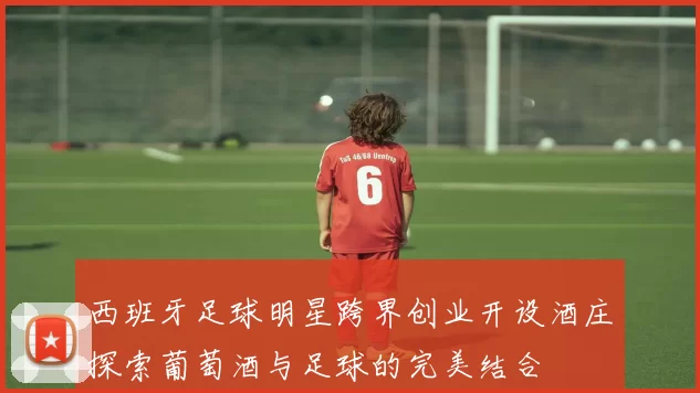 西班牙足球明星跨界创业开设酒庄探索葡萄酒与足球的完美结合