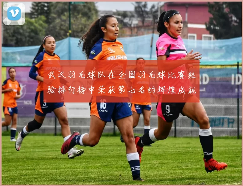 武汉羽毛球队在全国羽毛球比赛经验排行榜中荣获第七名的辉煌成就