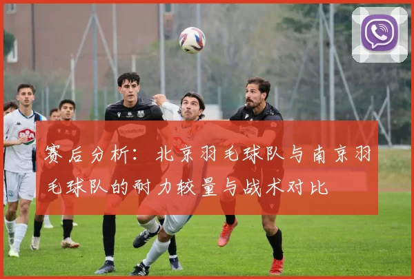 赛后分析：北京羽毛球队与南京羽毛球队的耐力较量与战术对比