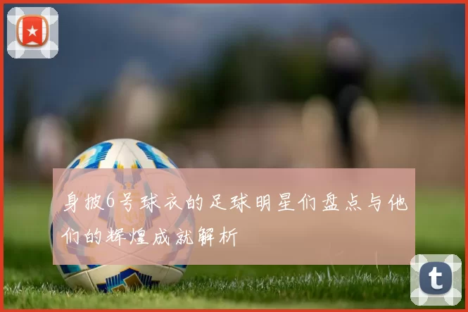 身披6号球衣的足球明星们盘点与他们的辉煌成就解析