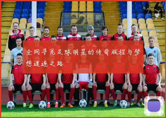 全网寻觅足球明星的传奇旅程与梦想追逐之路
