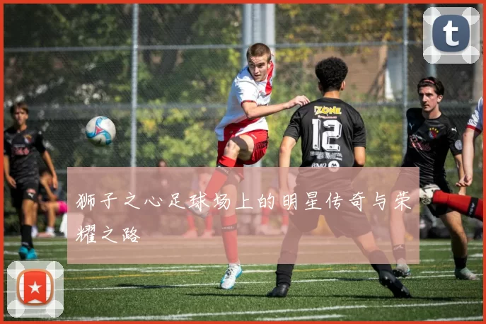 狮子之心足球场上的明星传奇与荣耀之路