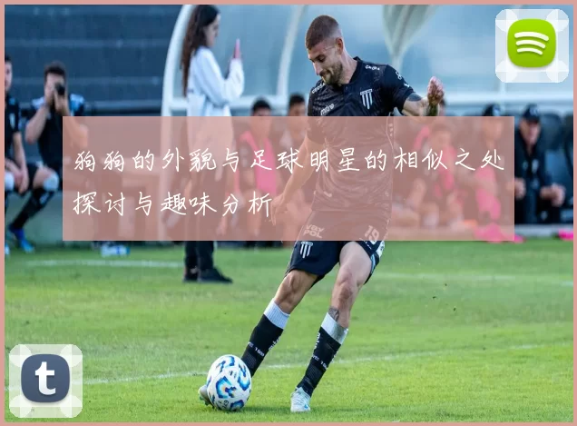 狗狗的外貌与足球明星的相似之处探讨与趣味分析