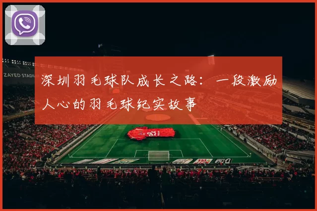 深圳羽毛球队成长之路：一段激励人心的羽毛球纪实故事